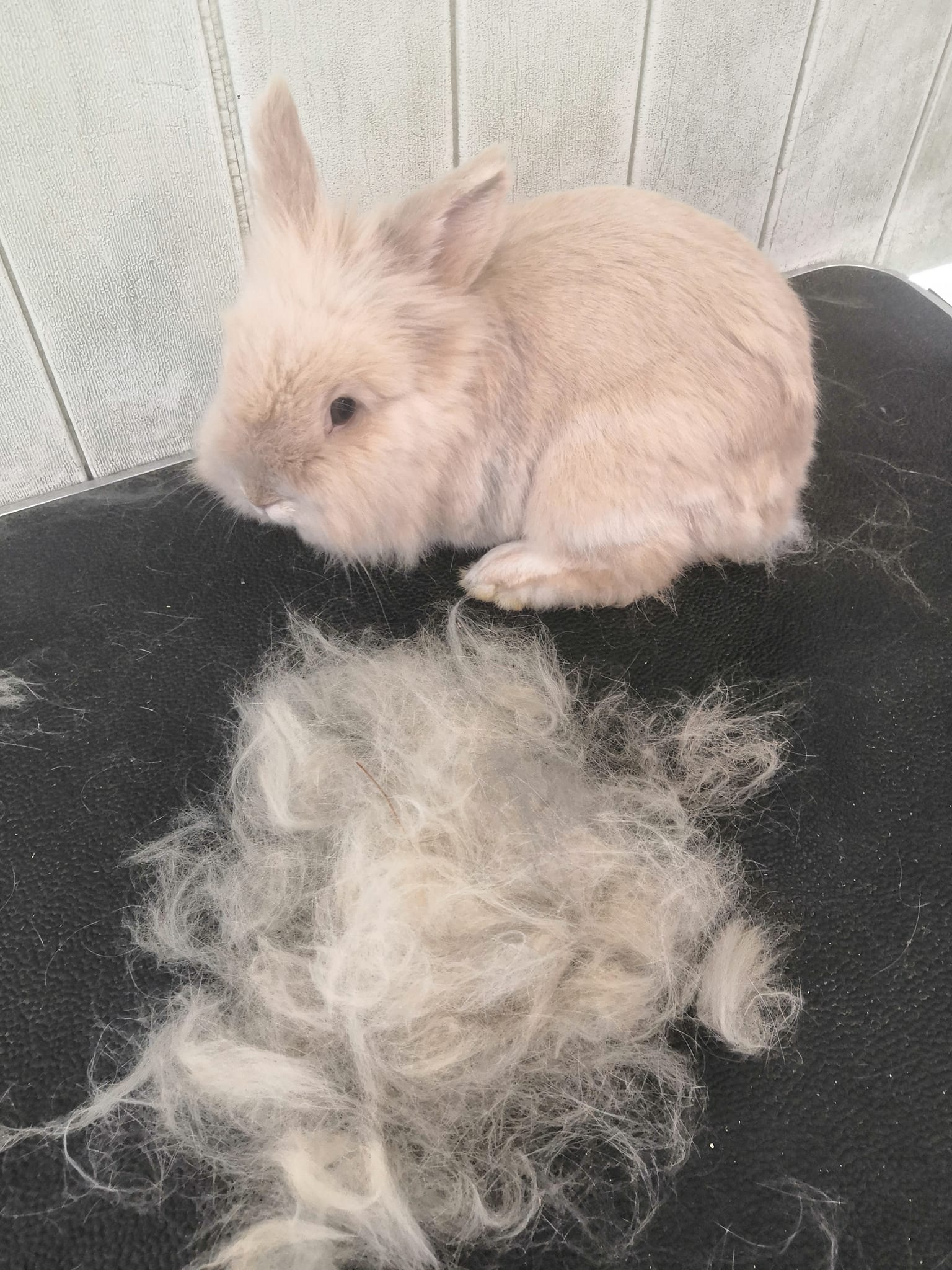 7-proven-study-techniques-for-online-learners