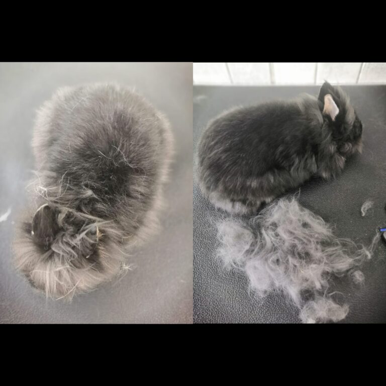 487510231_642923005203926_4657898874925805650_n