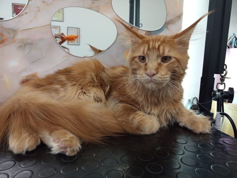 489085211_649374431225450_4408701209815409771_n