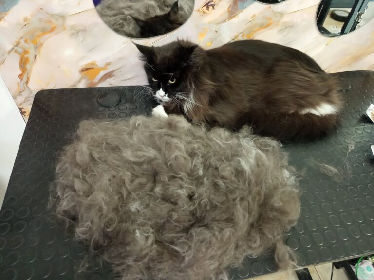 489091463_649367954559431_1928758570001616873_n