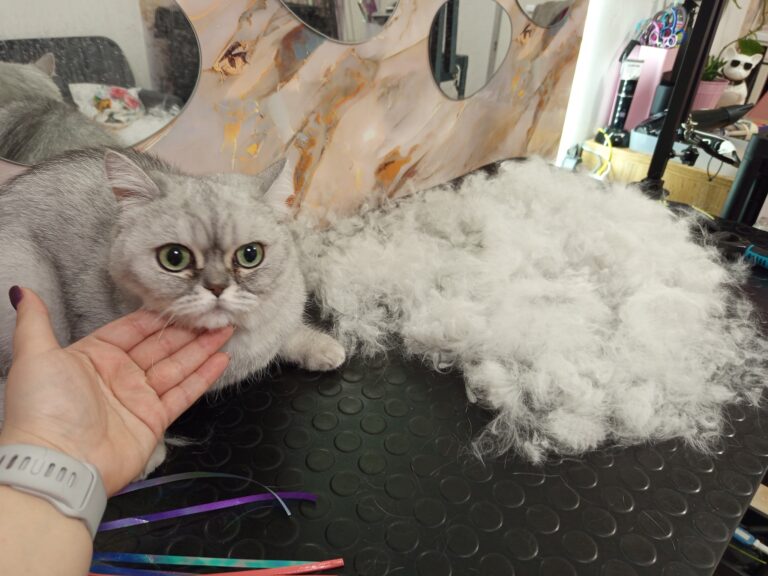 490186505_651351584361068_4969994423551313561_n