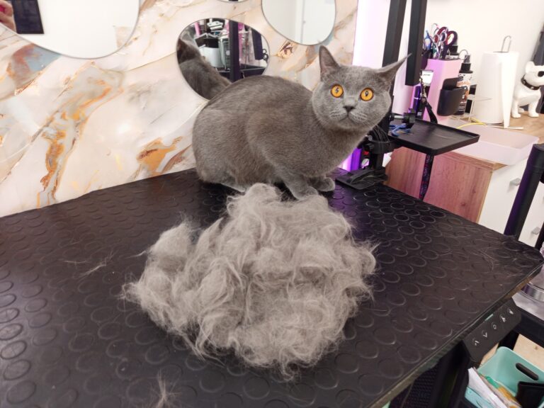 531519906_746257548203804_6114546946030104495_n