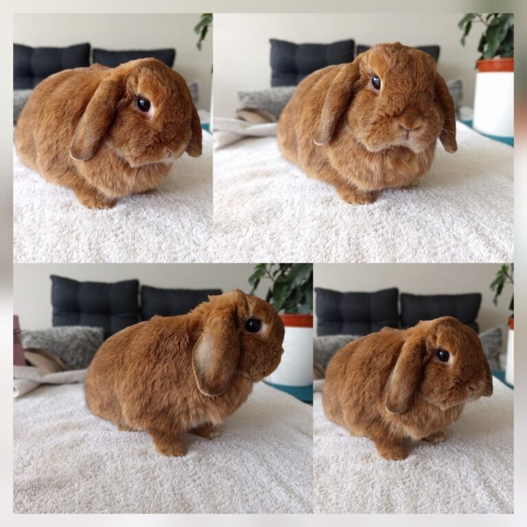 538111870_752782194218006_31003426452769628_n