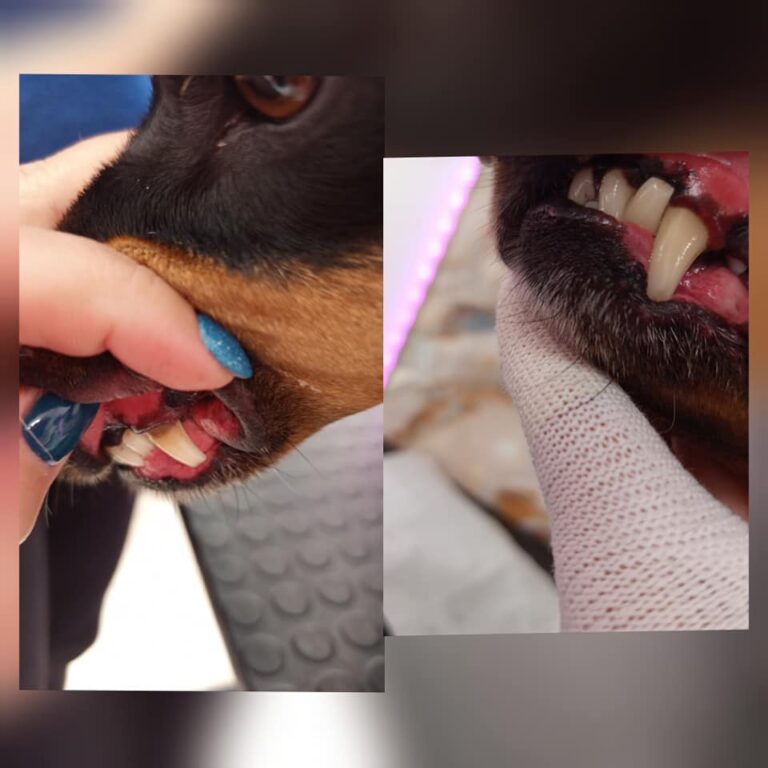 539567316_759520400210852_2542890720557868156_n