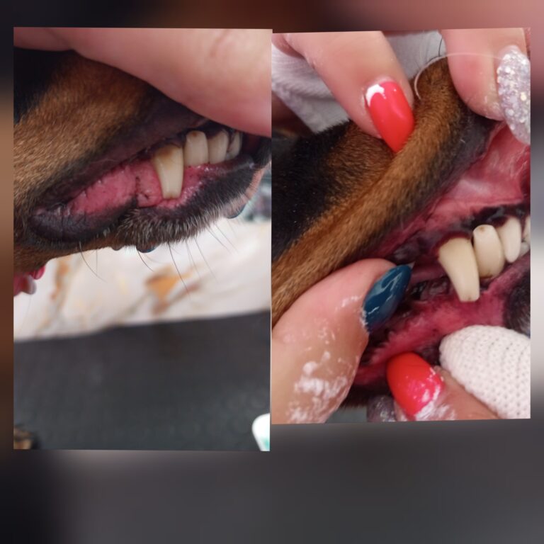 540482439_759548216874737_6528605238797990307_n