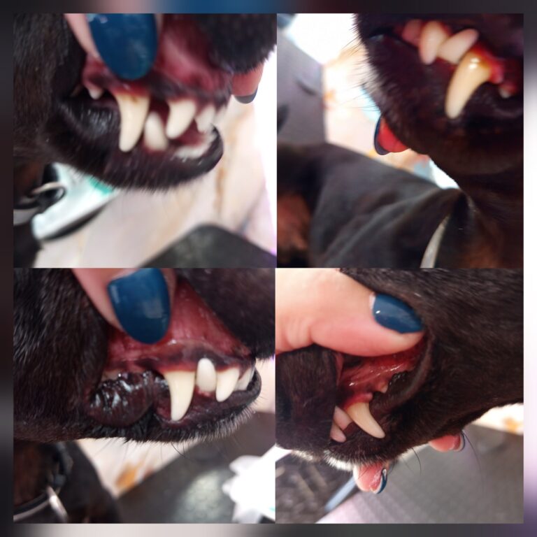 540997296_761032563392969_3739455047498806043_n