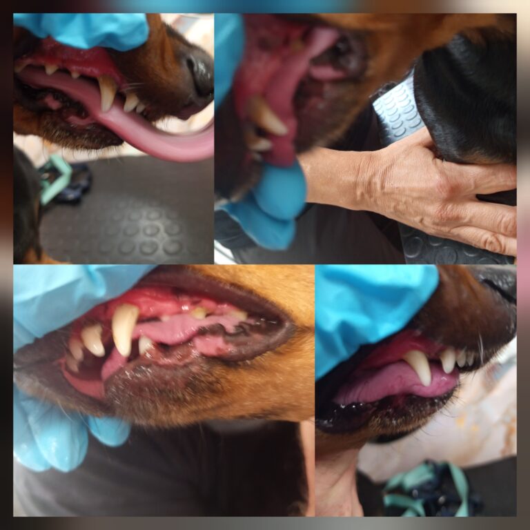 556571901_784119407750951_1835530869971015777_n