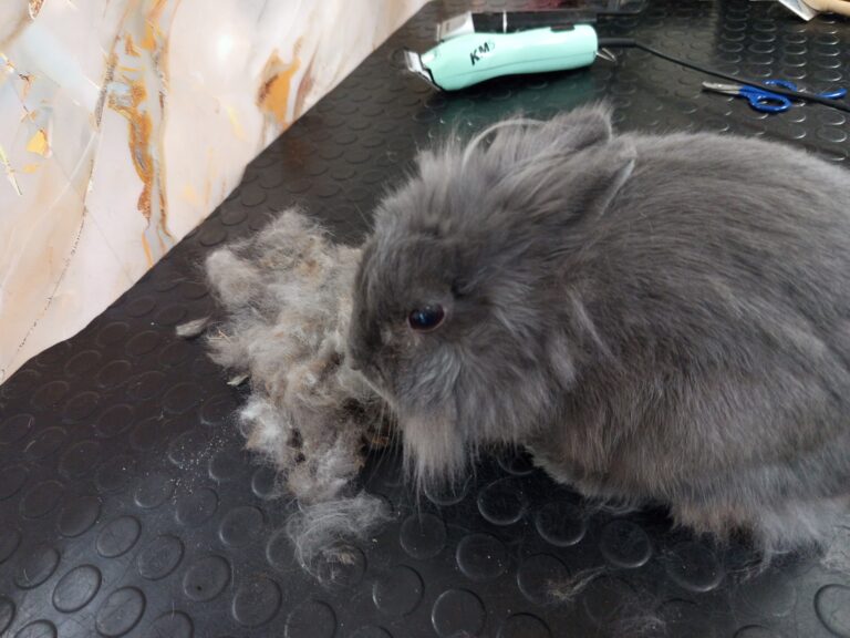 560635098_796533813176177_139914596977767575_n