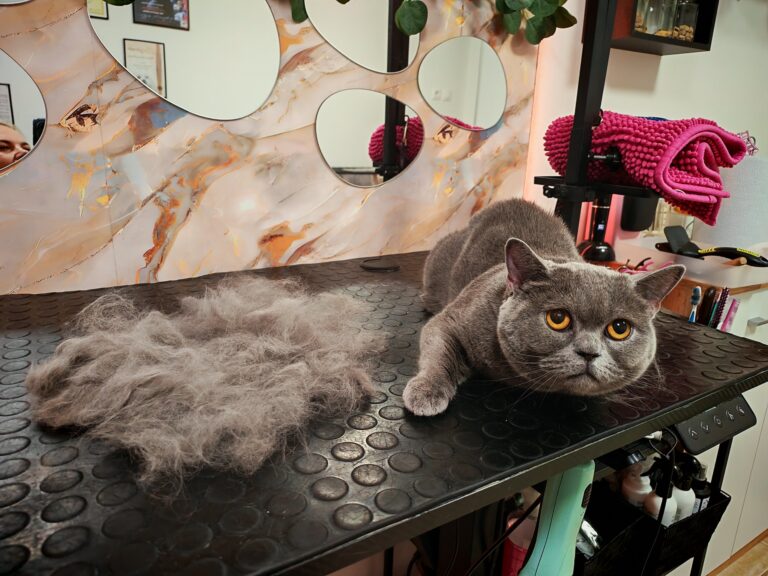 568943691_804560859040139_1948778419993378835_n