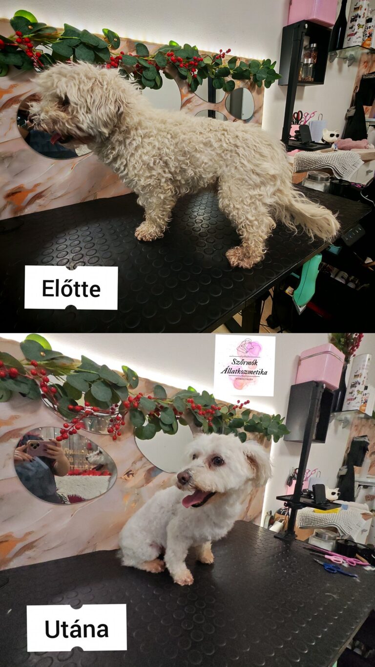 587035722_830624506433774_5425309239469217693_n