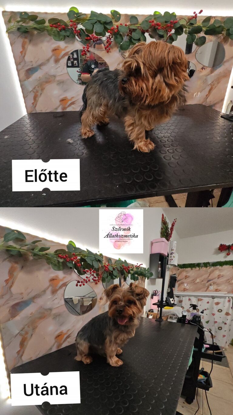 587218658_830624743100417_5302183314745612347_n