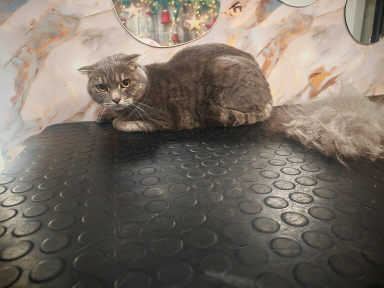 597320909_845107024985522_1030484020834642815_n