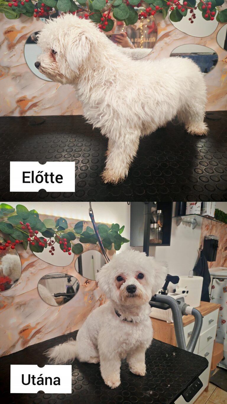 597369938_845507228278835_5085432764512296993_n