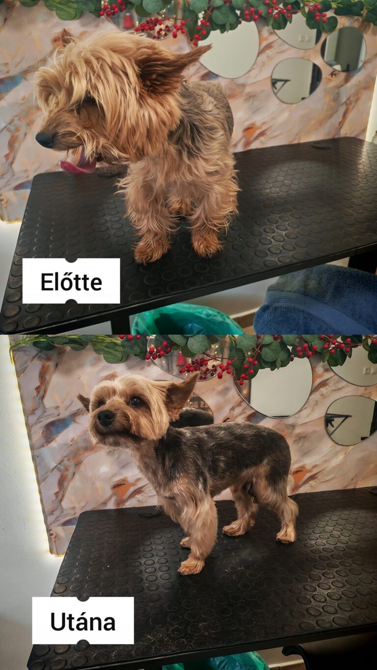 597382880_845108148318743_8284347661462546605_n