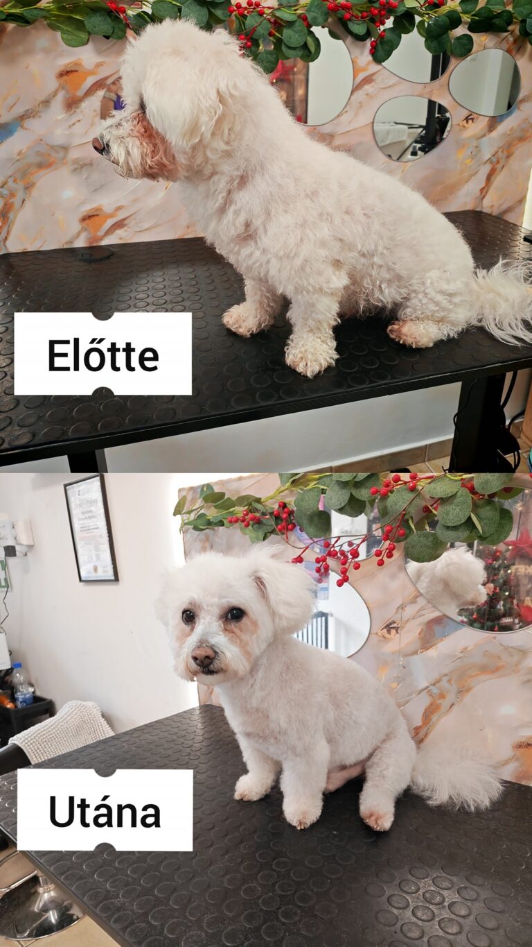 597385808_845100948319463_6937130045002855516_n