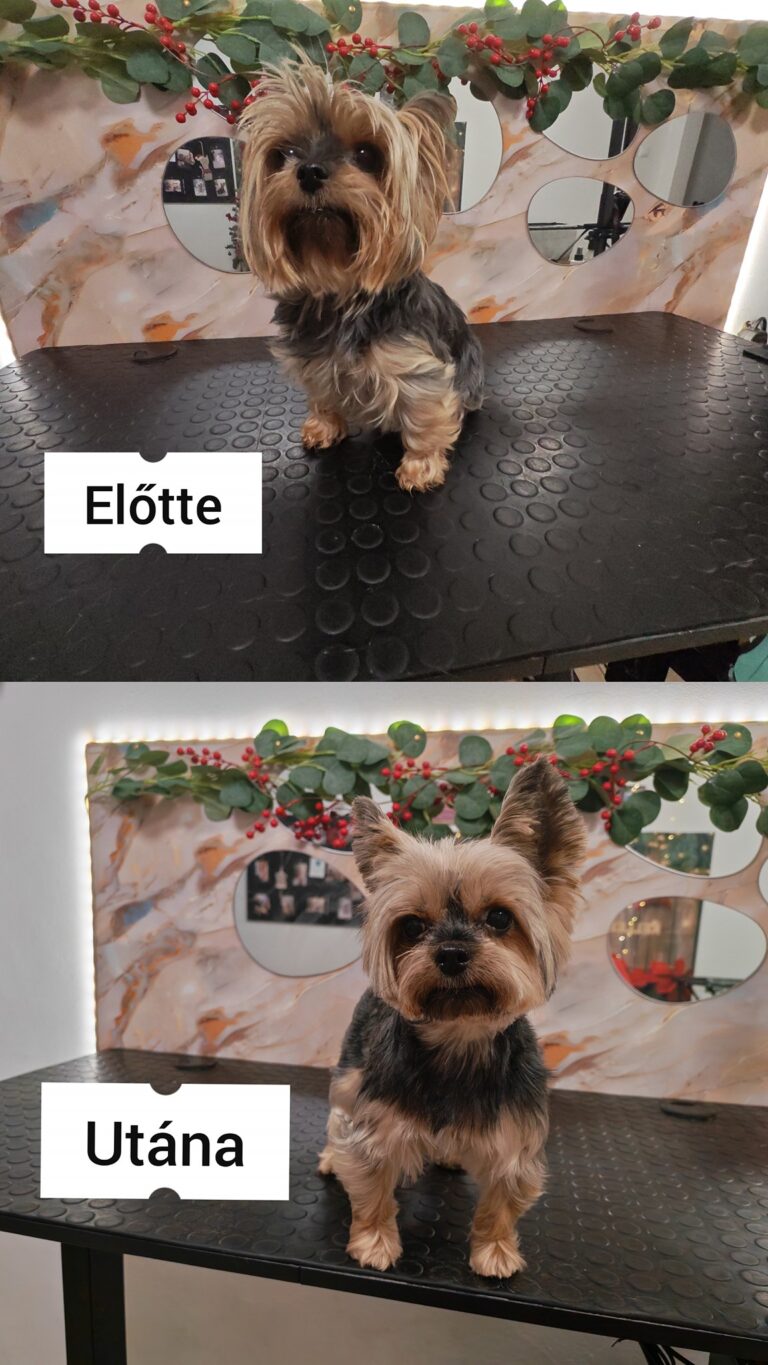 597392932_845099398319618_1637697416692007043_n