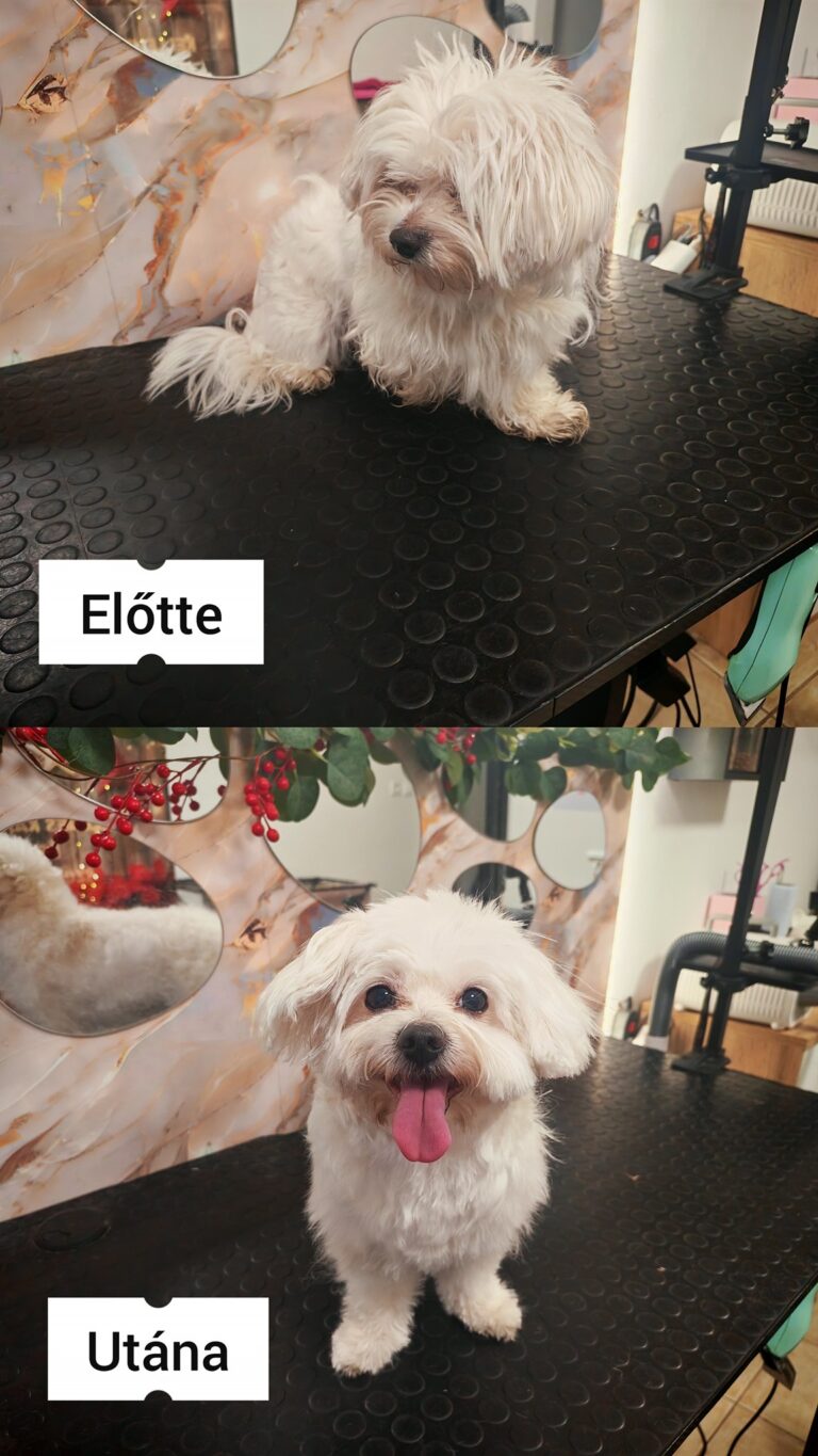 598171925_845103264985898_4546108382933274103_n