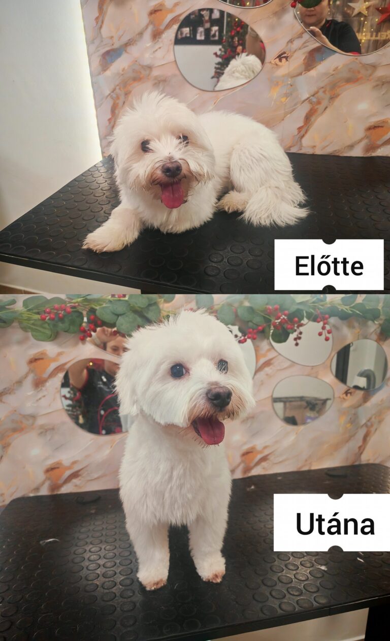 598928227_847753624720862_2859052717610112740_n