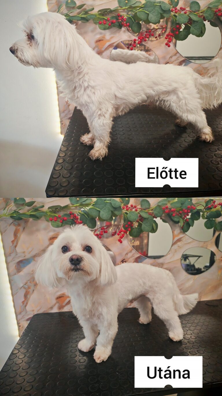 600500415_845104428319115_5736234444496287561_n