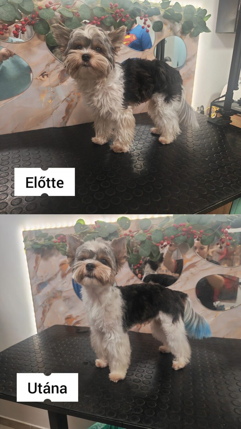 605722620_851659200996971_1665746422462526901_n